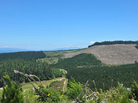 FourB - Bike Tours, Shuttles & Hire-陶波必去景点