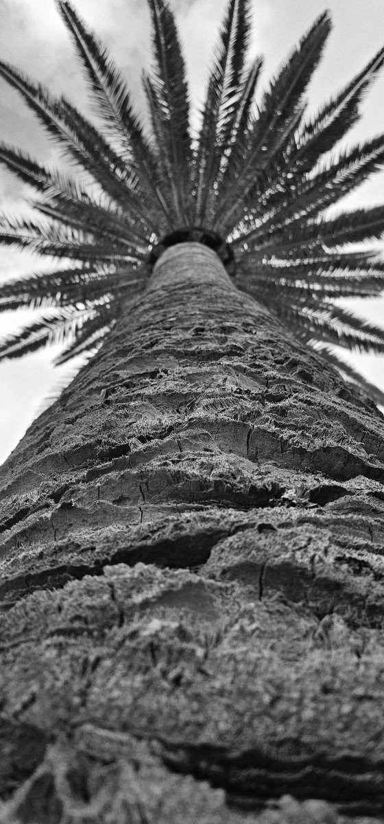 Tui Blue 洛斯吉甘特斯-浴室