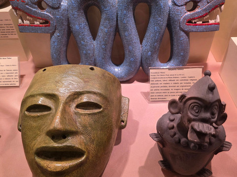 Museu de Arqueologia Ciro Flamarion Cardoso-Ponta Grossa必去景点