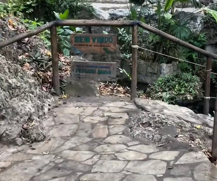 Olheiro Spring-Pureza必去景点