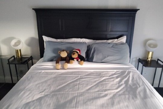 堪培拉骑士桥酒店-客卧