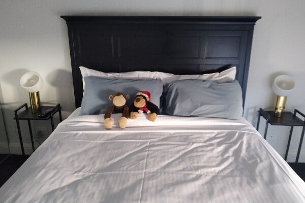 堪培拉骑士桥酒店主图