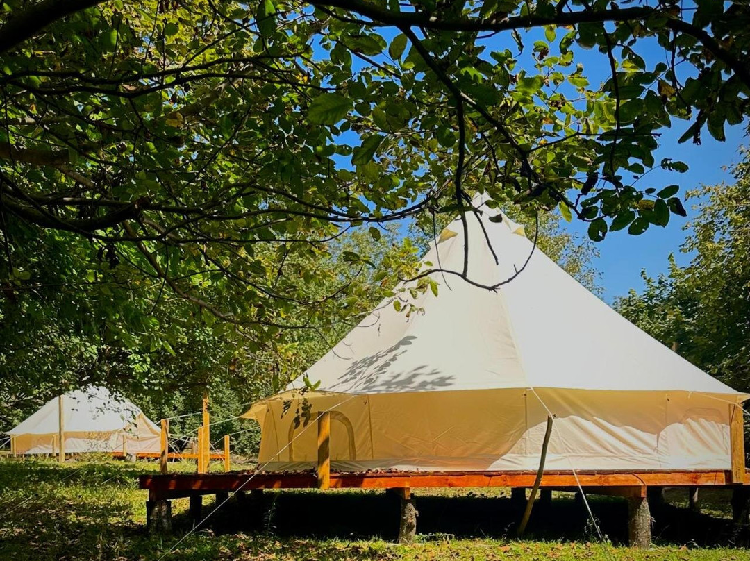 KAMP OBASI