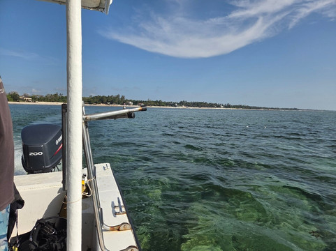 Scuba Duka-迪亚尼必去景点