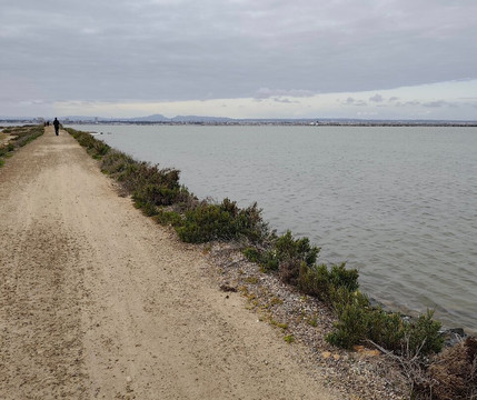 Parque Regional Salinas-San Pedro del Pinatar必去景点