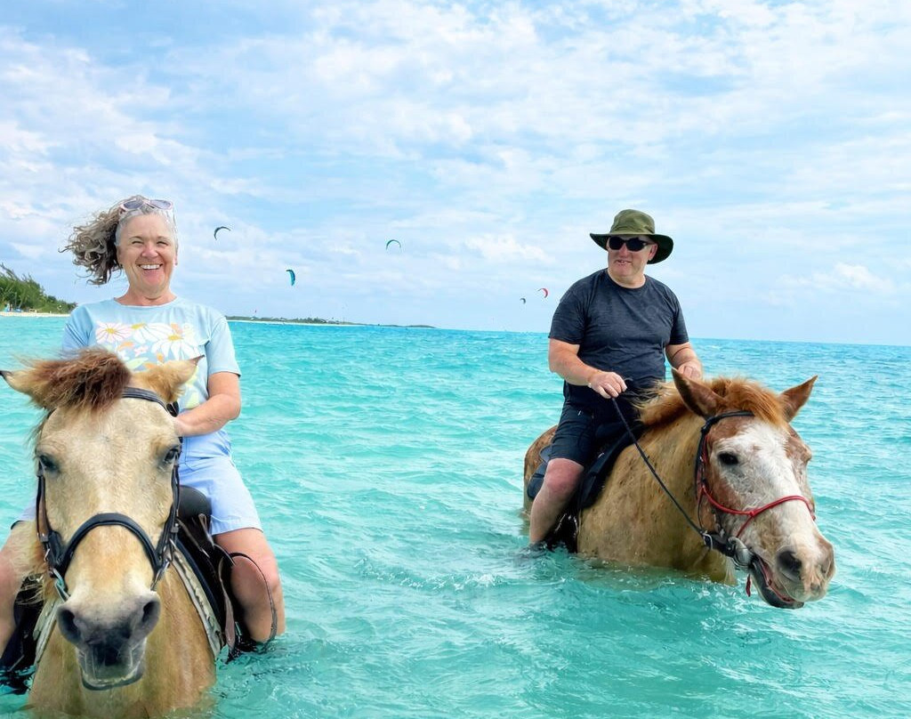 Provo Ponies-Long Bay Hills必去景点