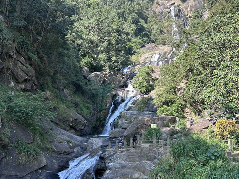 D.S Tours Day Tours-尼甘布必去景点