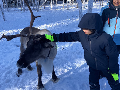 Skumsiida-Purnuvaara必去景点