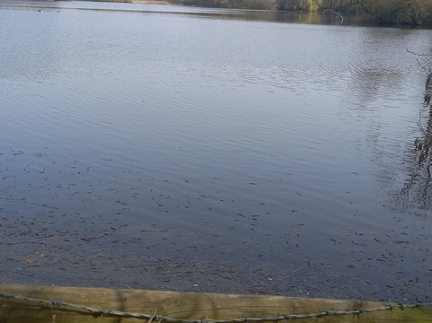 Frampton Court Estate-Frampton on Severn必去景点