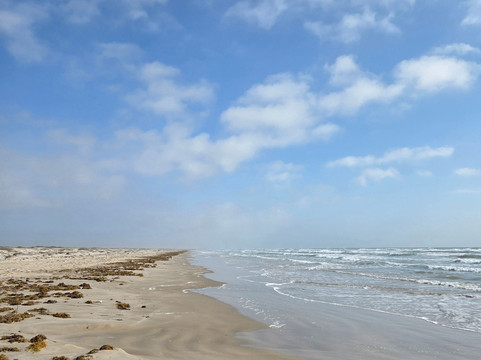 San Jose Island-阿兰瑟斯港必去景点