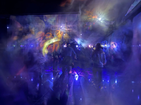 Teamlab Borderless Tokyo-港区必去景点