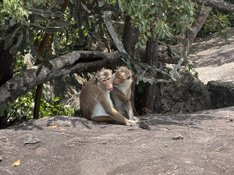 Jayabima Travels & Tours-加勒必去景点