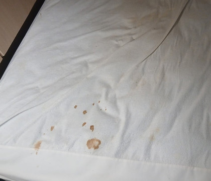 维多利亚酒店主图