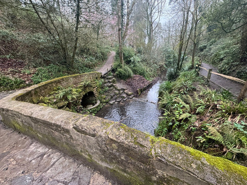 Ninesprings Country Park-约维尔必去景点