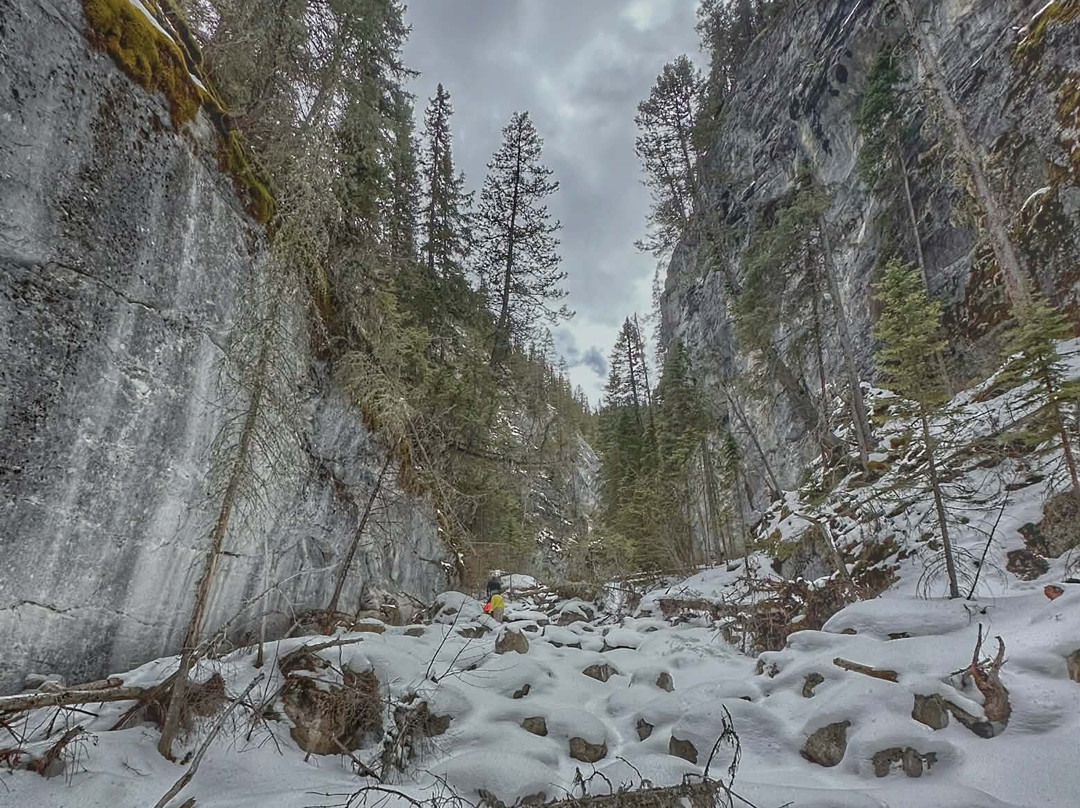 Bow Valley Canyon Tour-坎莫尔必去景点