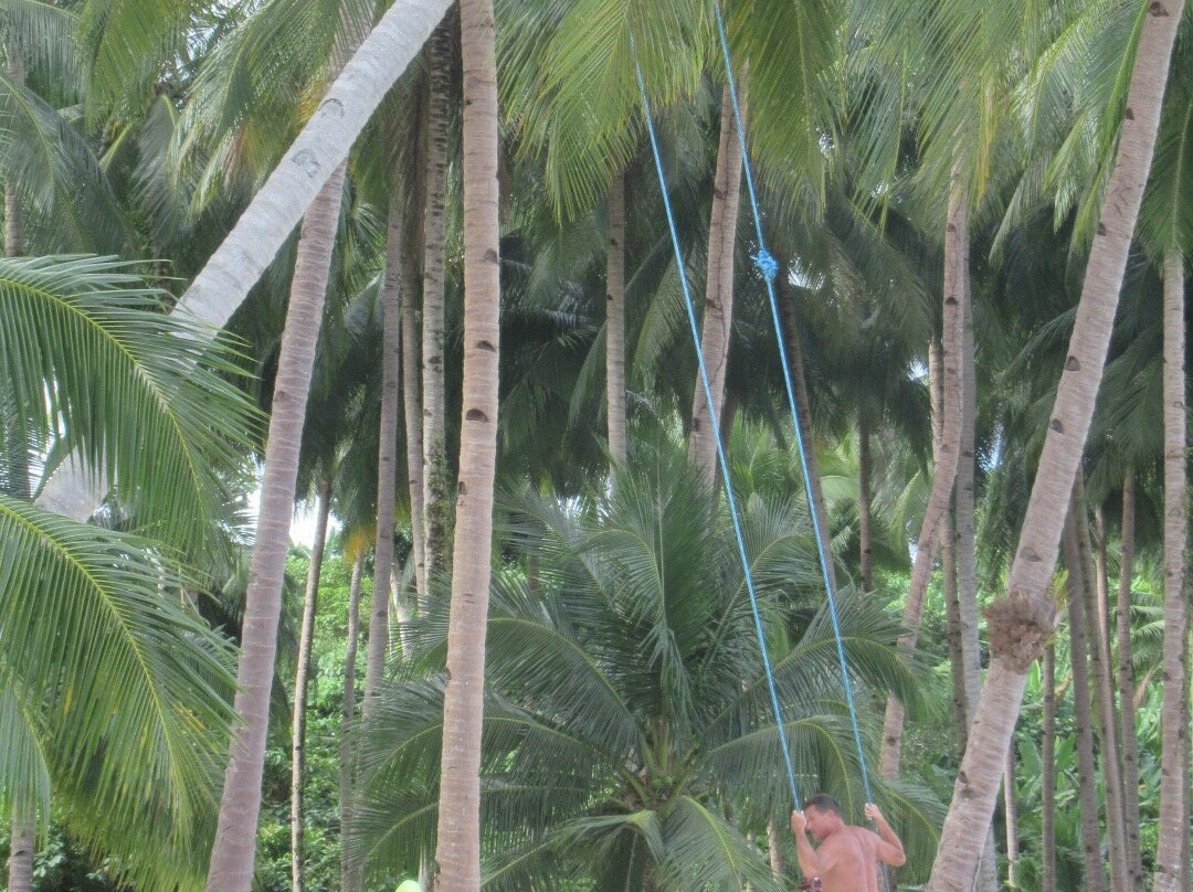 White Beach-巴顿港必去景点