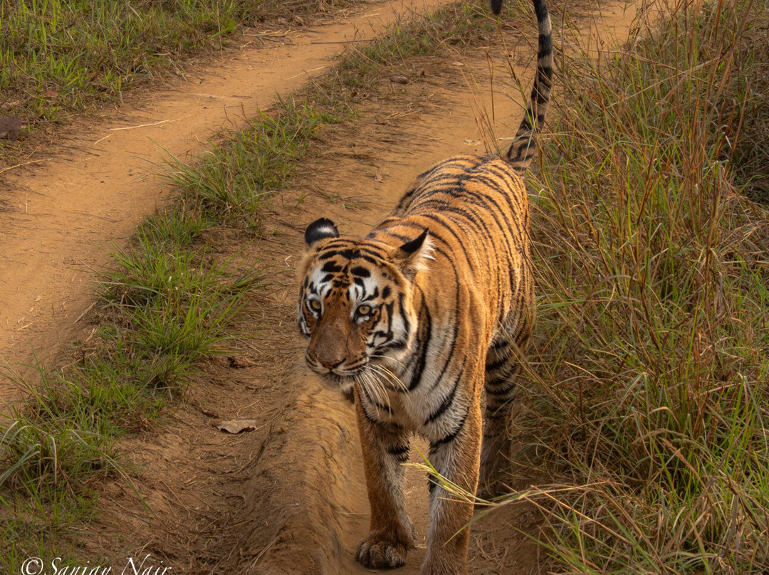 Traveller Realm-Chandrapur必去景点