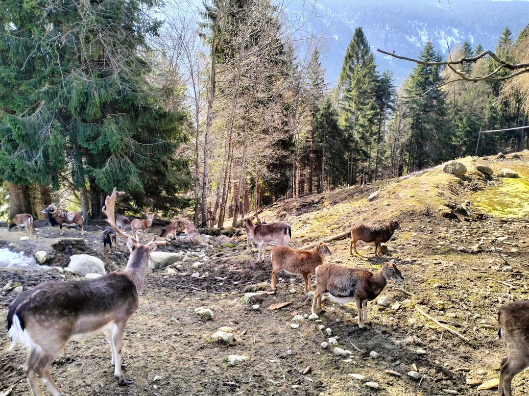 Fattoria Rainguthof-Tesimo必去景点