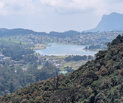 Sri Lankan Personal Drivers-科伦坡必去景点