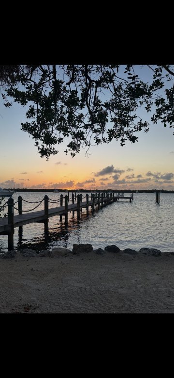 椰树棕榈树旅馆-泳池