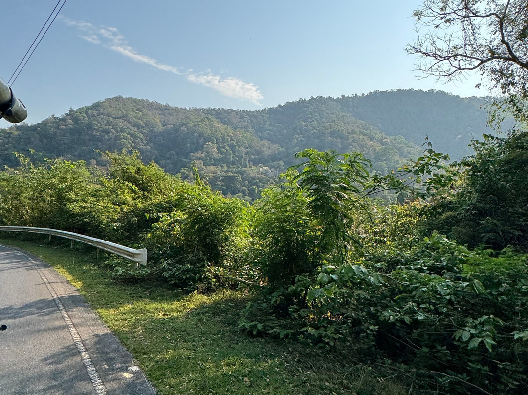 考艾自然生活及旅游酒店主图