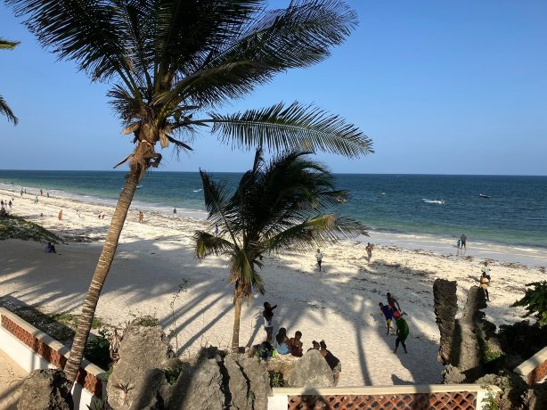 猴面包树海小屋-官方