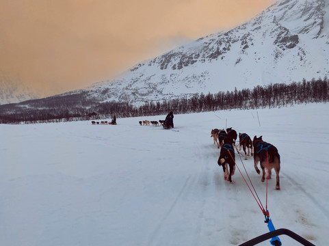 Lyngen Husky Safari-Svensby必去景点