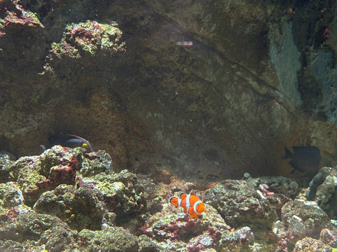 Klimahaus Bremerhaven-不来梅港必去景点