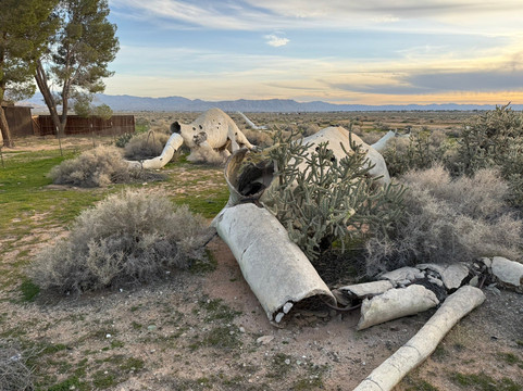 Concrete Dinosaurs Of Apple Valley, Ca-Apple Valley必去景点