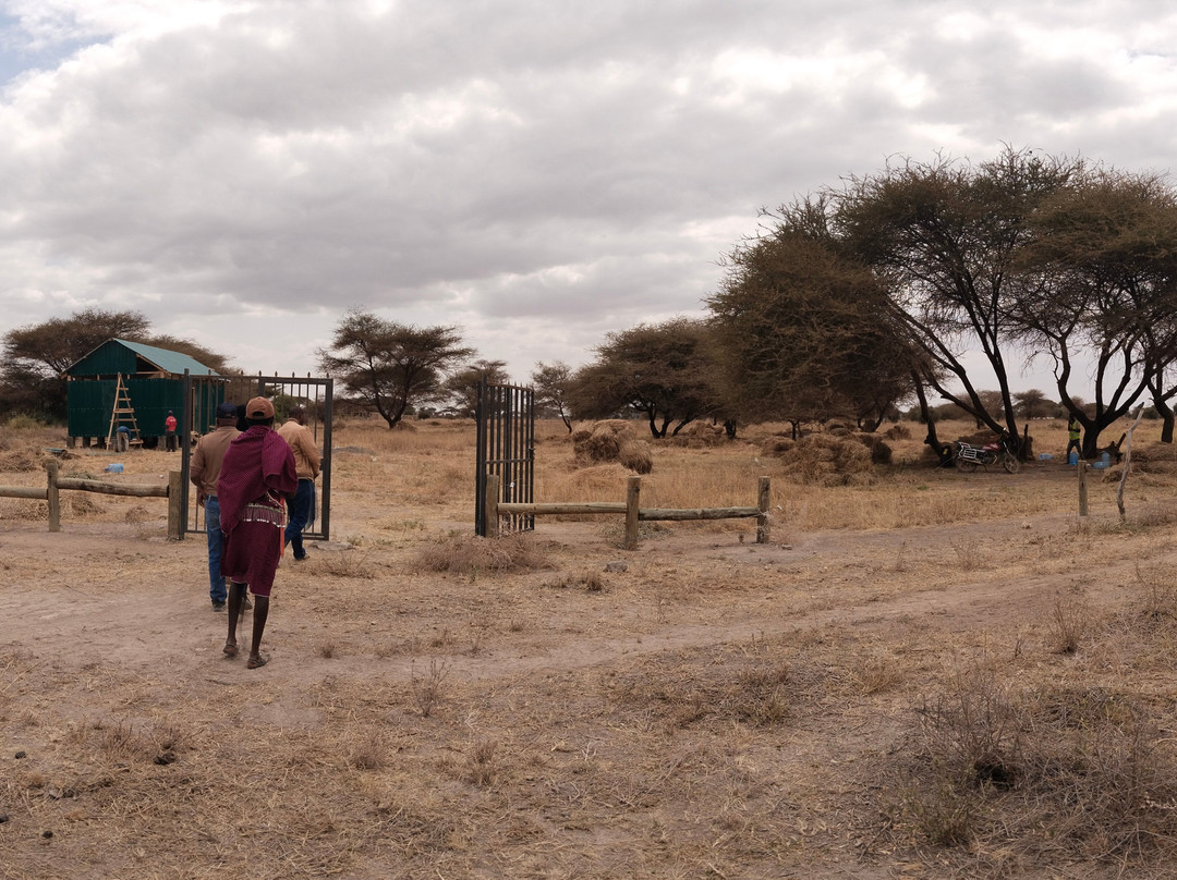 Maasai Safari & Cultural Tours-Kimana必去景点