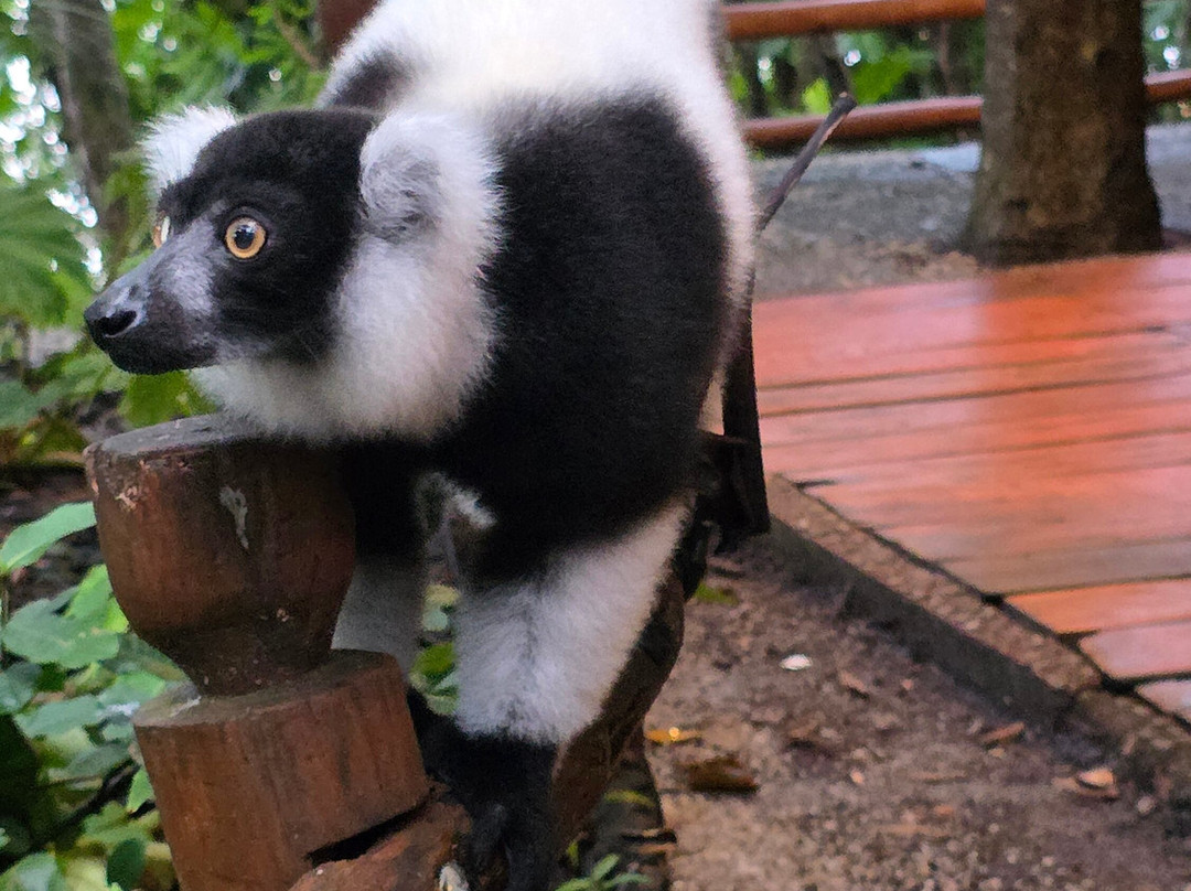 Zamilane-Toamasina (Tamatave)必去景点