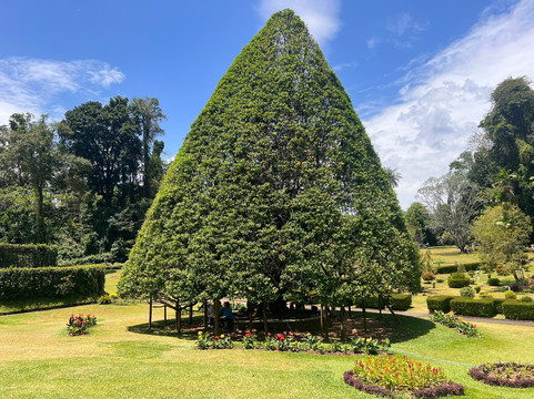 Royal Botanic Gardens Peradeniya-康提必去景点