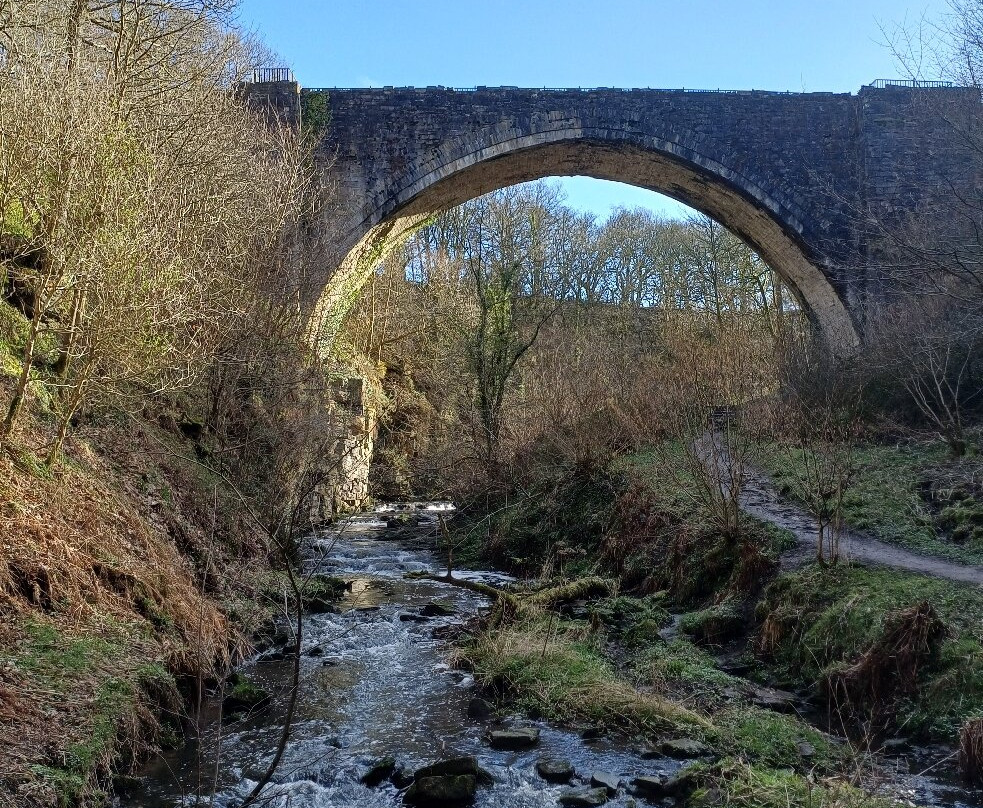 Tanfield Railway-盖茨黑德必去景点