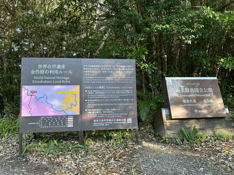 Kinsakubaru Forest-奄美市必去景点