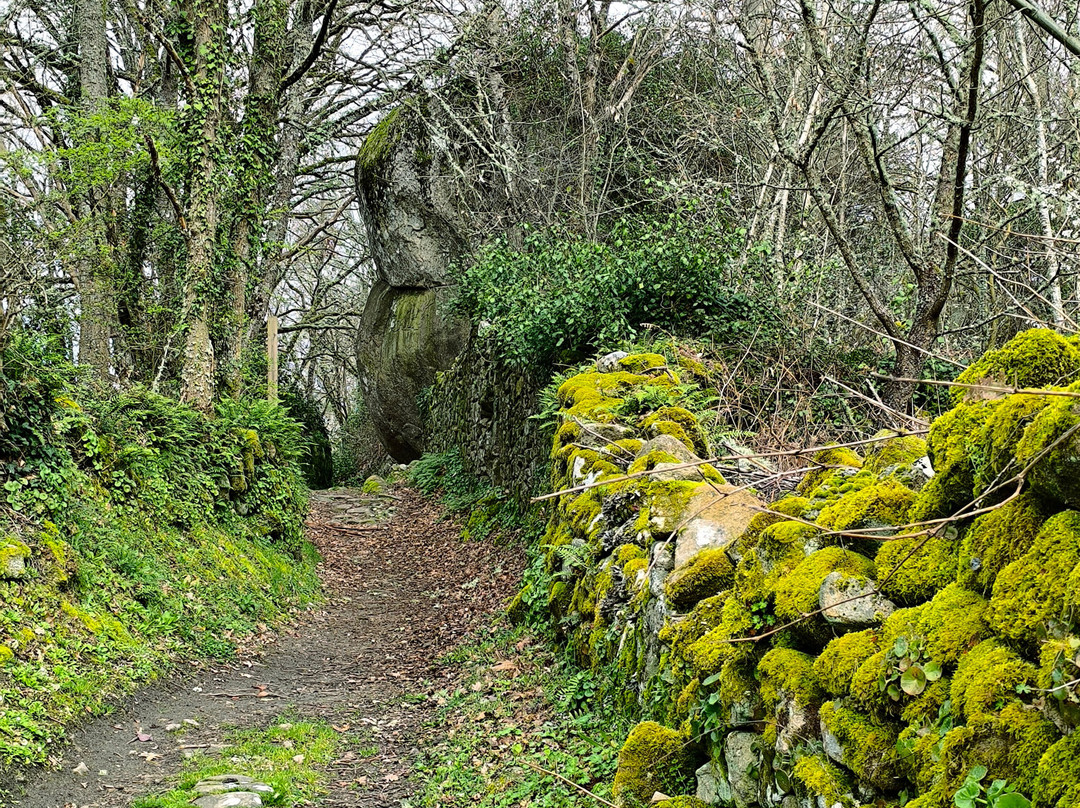 圣水之家旅馆主图