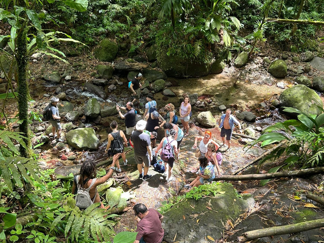 Kalonji Tours & Taxi-Le Lamentin必去景点