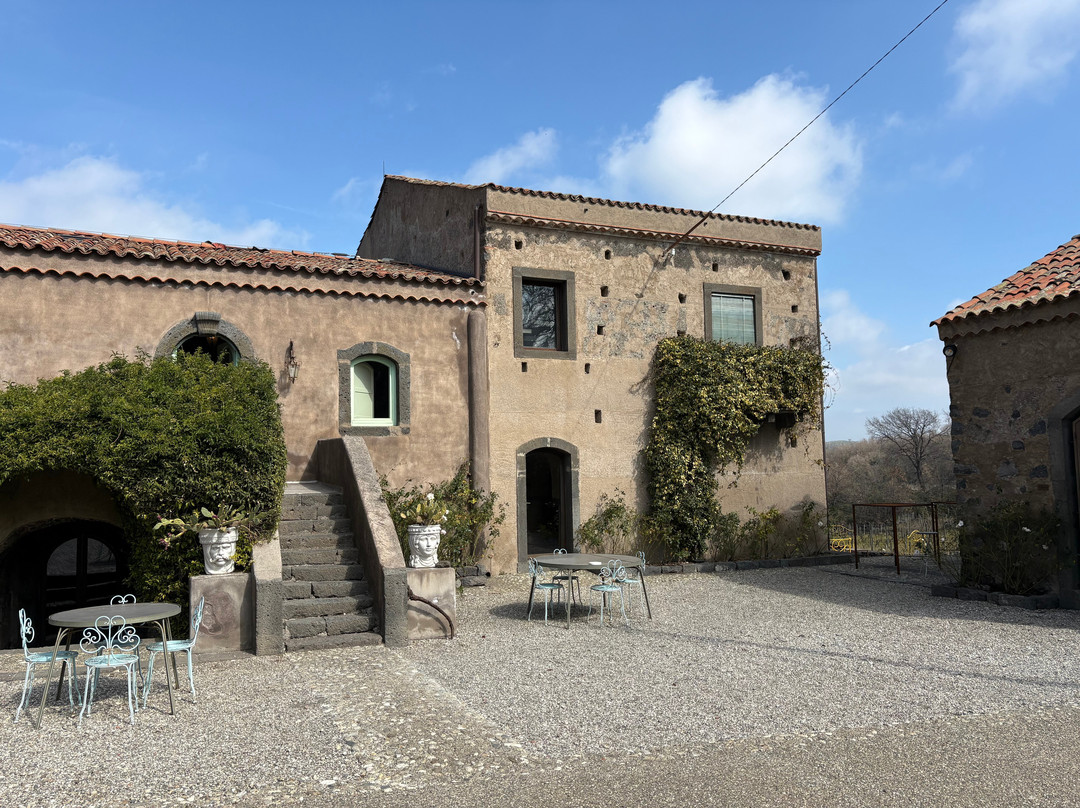 菲希纳泰努塔酒店主图