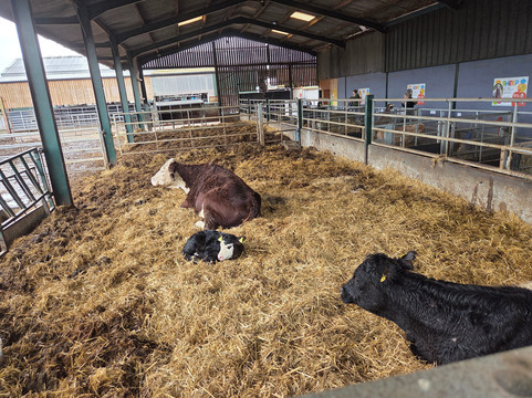 Lower Drayton Farm-Penkridge必去景点
