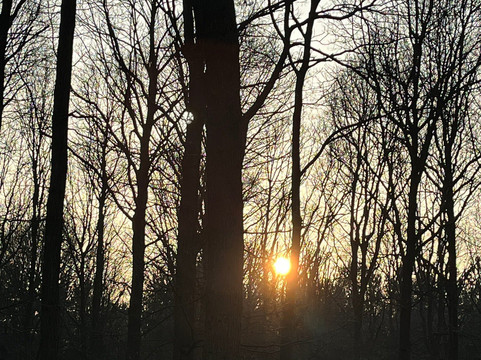 Sherwood Pines-Mansfield必去景点