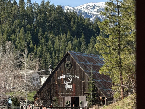 Leavenworth Reindeer Farm-莱文沃思必去景点