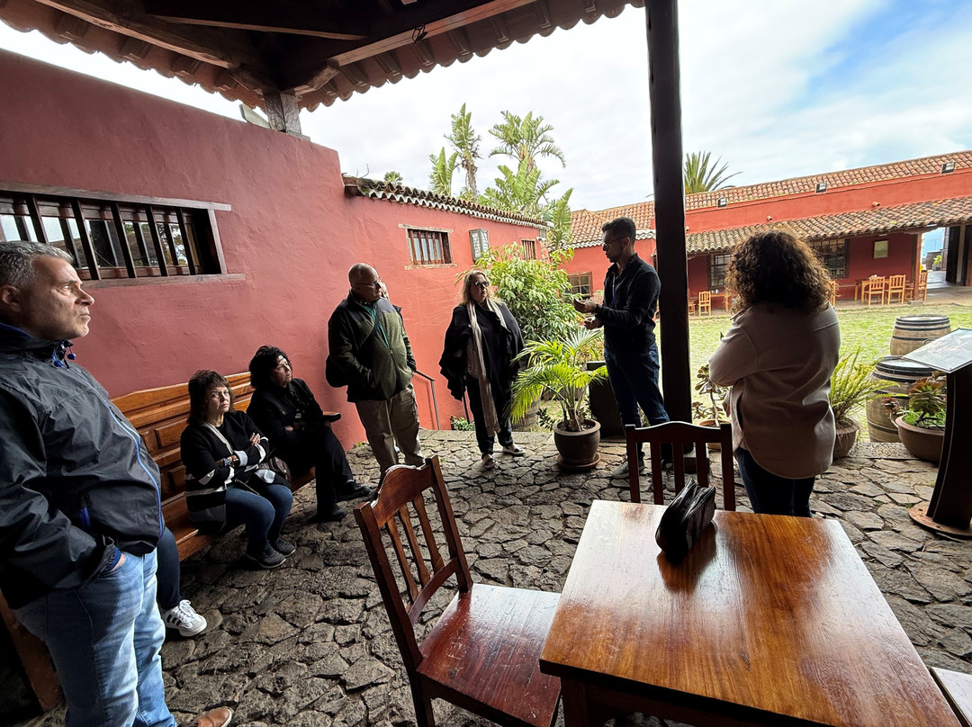 Tenerife 100 Cultures-特纳里夫必去景点