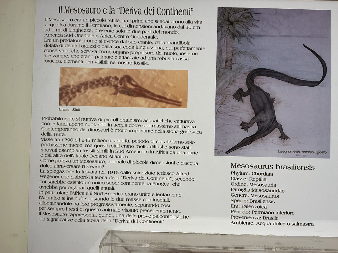 Museo Mineralogico Campano-维克艾库塞必去景点