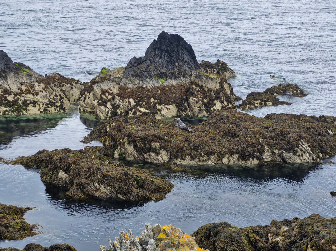 St Michael's Isle