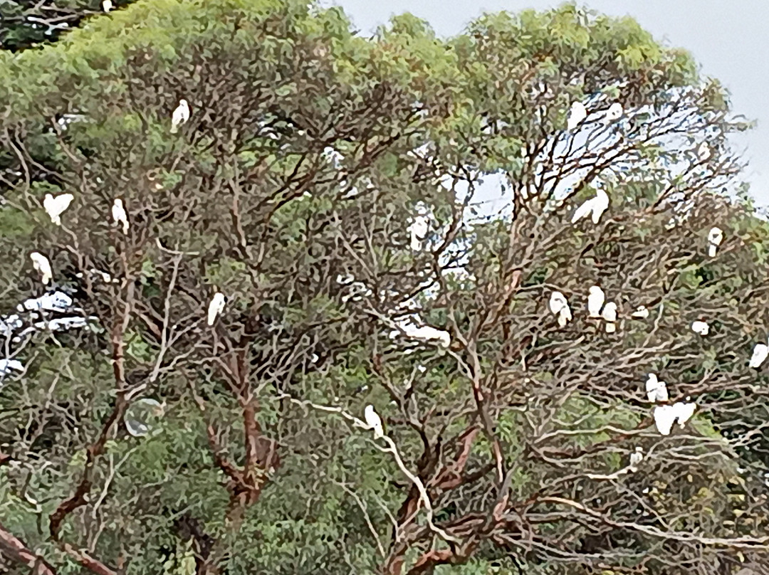 斯特拉斯汽车旅馆主图