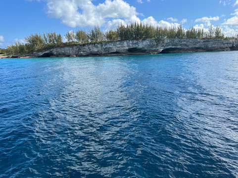 Stuart Cove's-拿骚必去景点