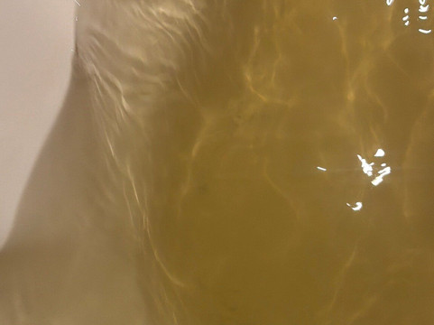 Vidanta Nuevo Vallarta-新瓦雅塔必去景点