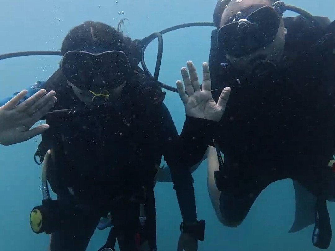 Juara Scuba Academy-刁曼岛必去景点