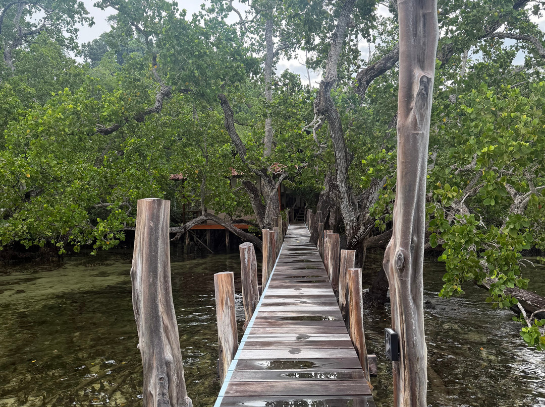 Luzo Villa & Tours Raja Ampat-Waisai必去景点