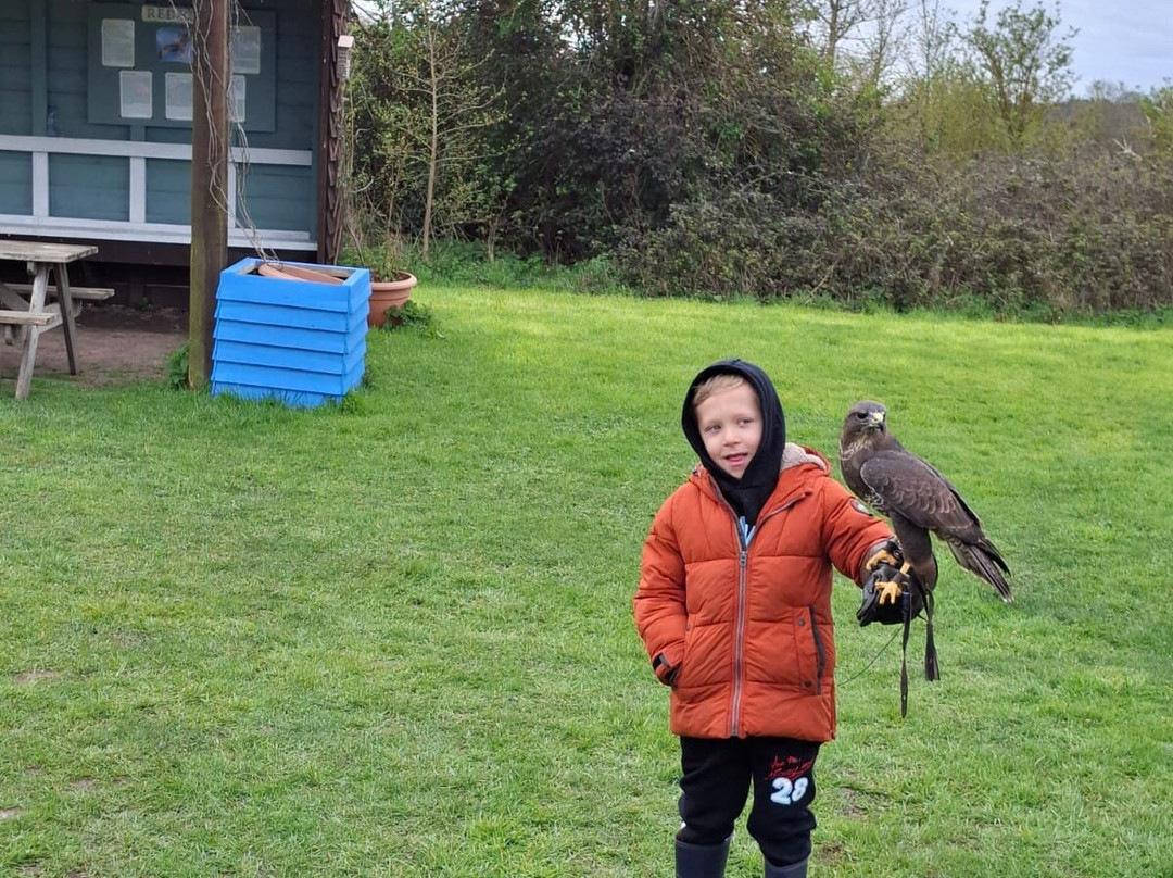 Feathers and Fur Falconry Centre-布拉克内尔必去景点