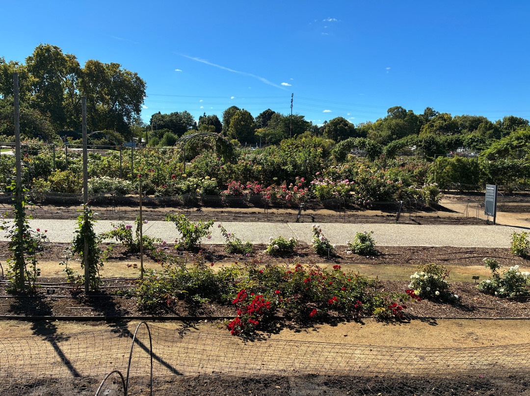 植物园-阿德莱德必去景点